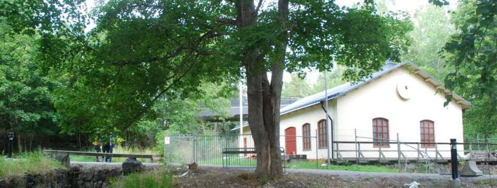 Fotografi. Ett gult hus bakom ett träd.