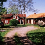 Byggnadsvård