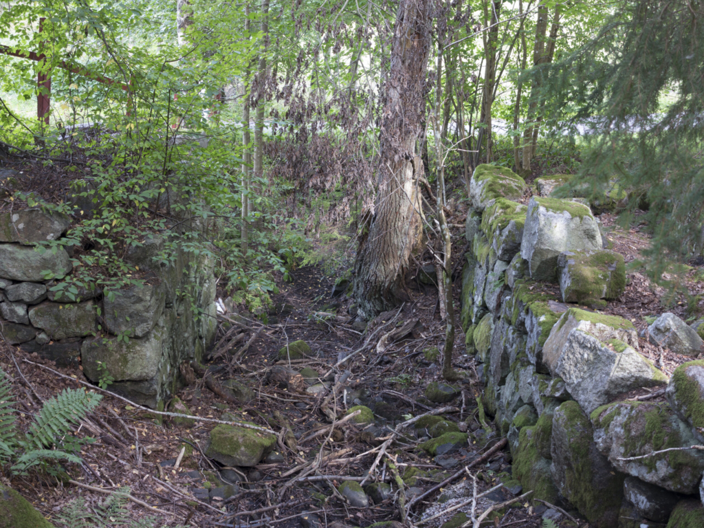 En stenmur, många pinnar som ligger på marken bredvid.