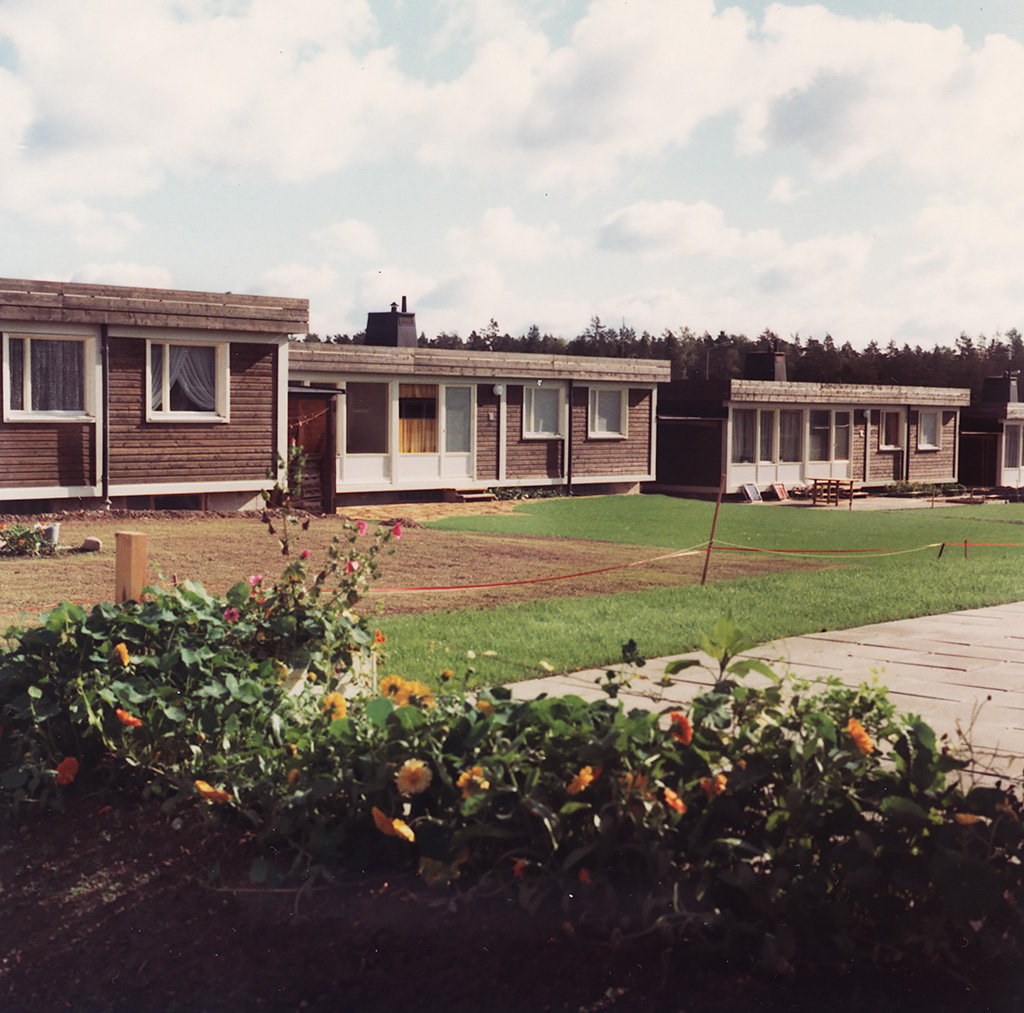 Tre hus som står bredvid varandra, en buske syns i förgrunden.