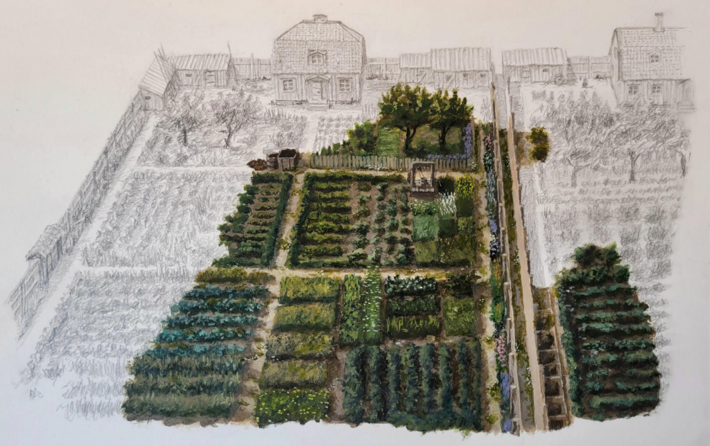 Rekonstruktionsteckning som visar de äldsta trädgårdsanläggningarna. 