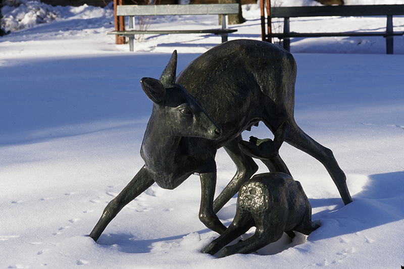 Ett råddjur av brons står i snön, bredvid står hennes unge.