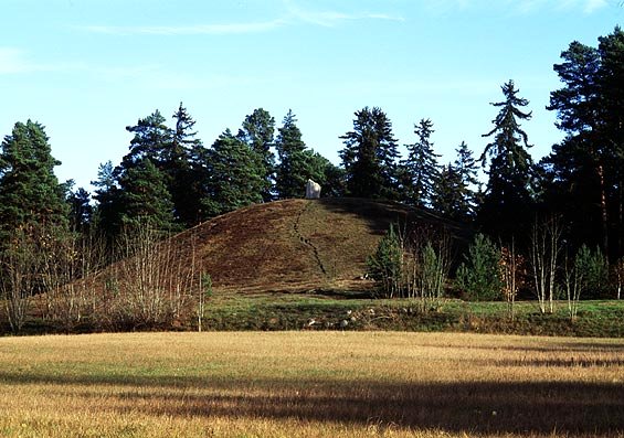 En kulle som ligger vid skogen.