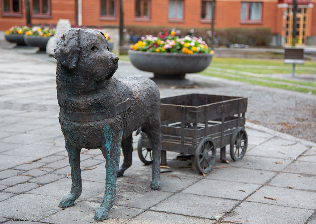 En skulptur av en hund som drar en kärra på ett torg med blomplanteringar bakom.