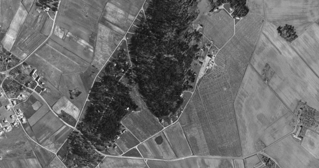 Ett svartvitt flygfoto med lite skog och mest ängar där vissa är prickiga av äppelträd.