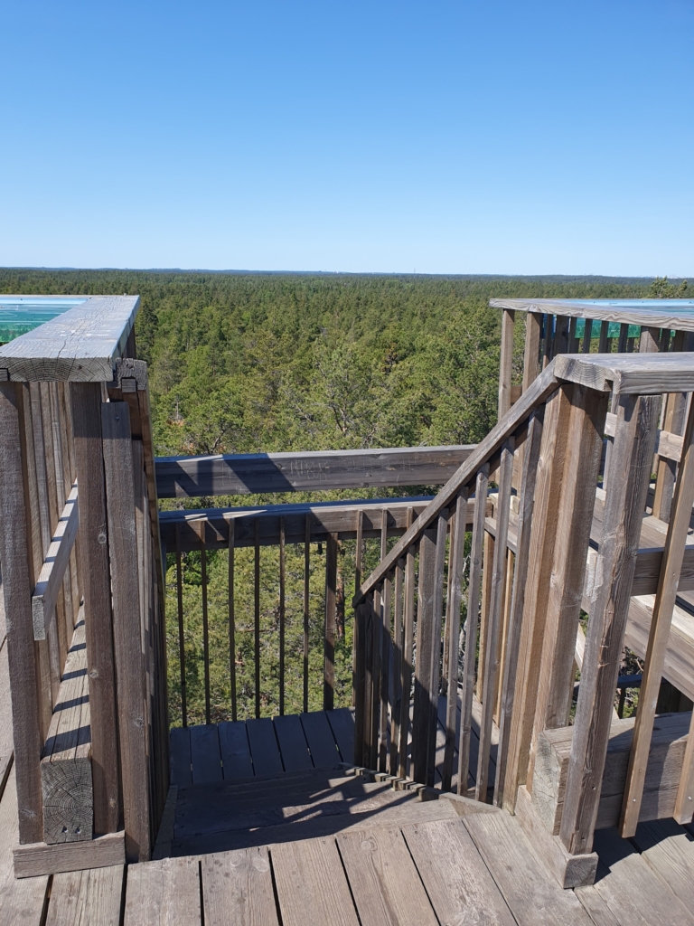 Skog möter horisonten. Blå himmel. Trätrappa med räcken.