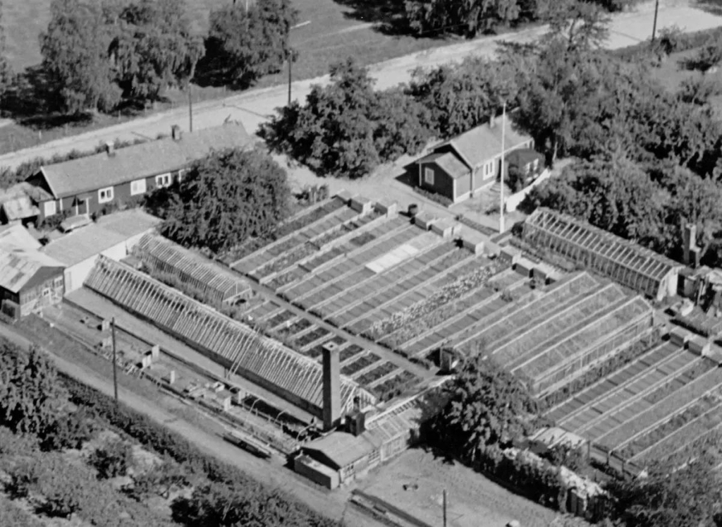Drivbänkar och växthus fotograferade från luften.