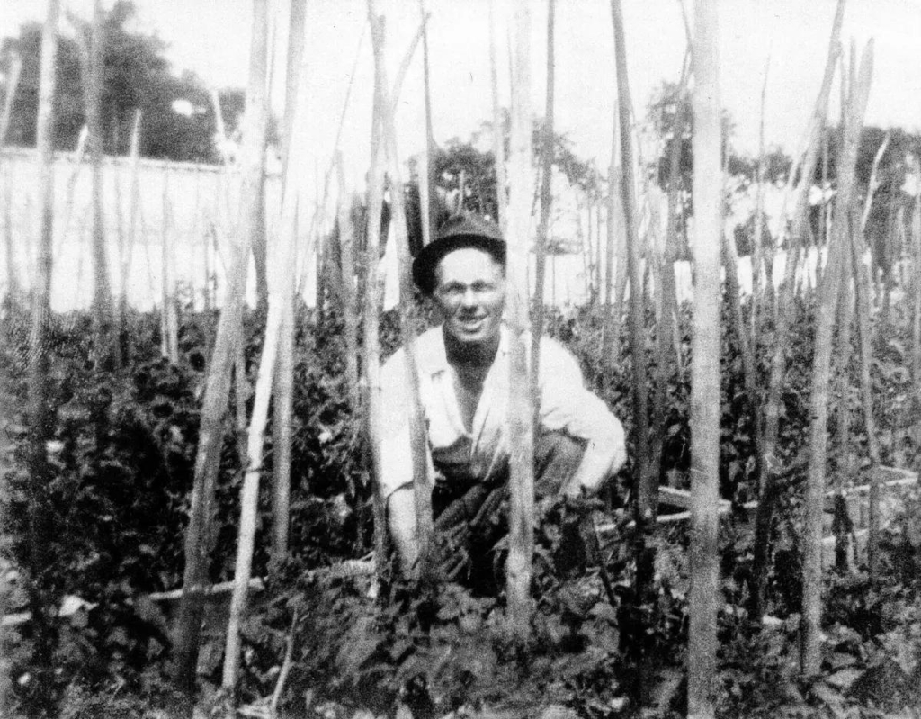 En man i hatt och uppknäppt vit skjorta sitter på huk omgiven av höga käppar som sticker upp ur jorden.