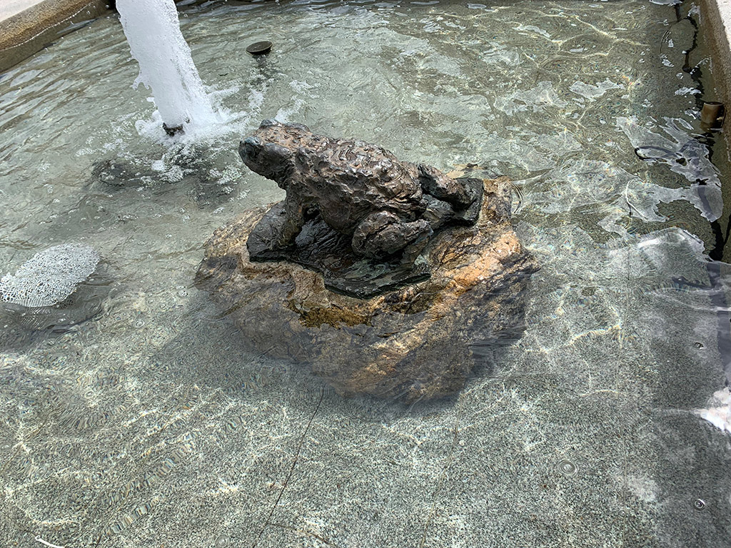 Skulptur av en brun padda som sitter på en sten i en fontän. Framför paddan sprutar en vattenstråle.