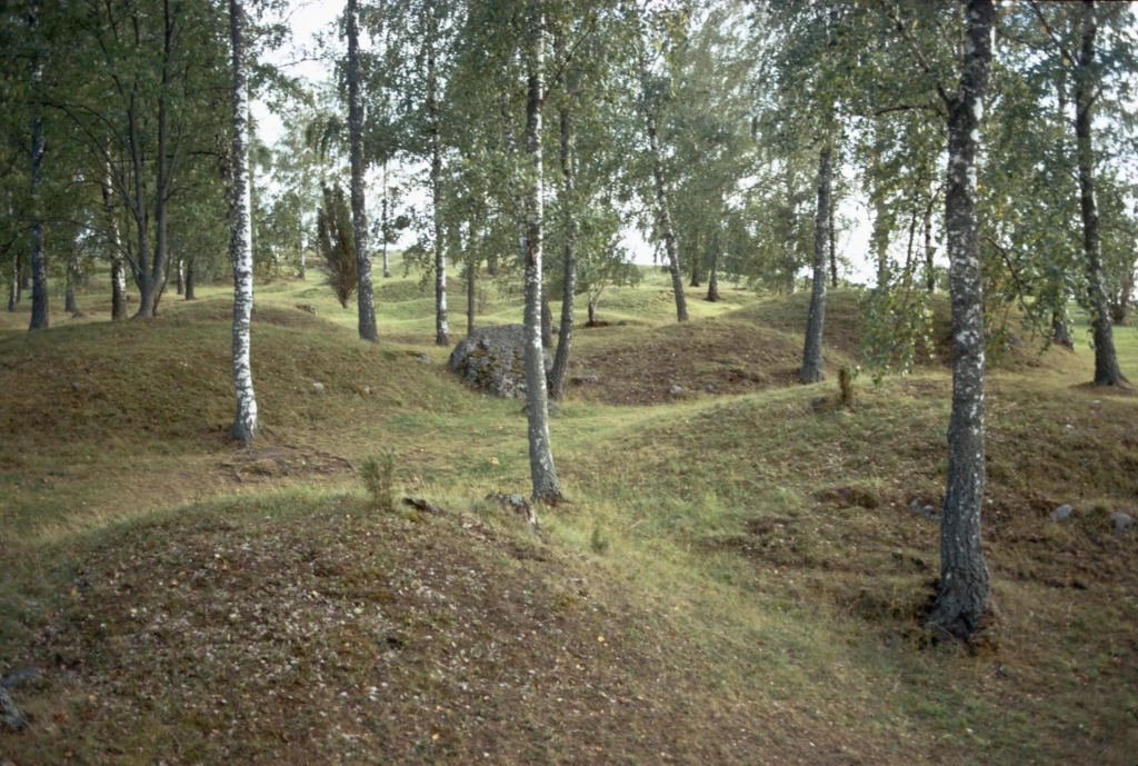 Flera små kullar med björkar emellan.