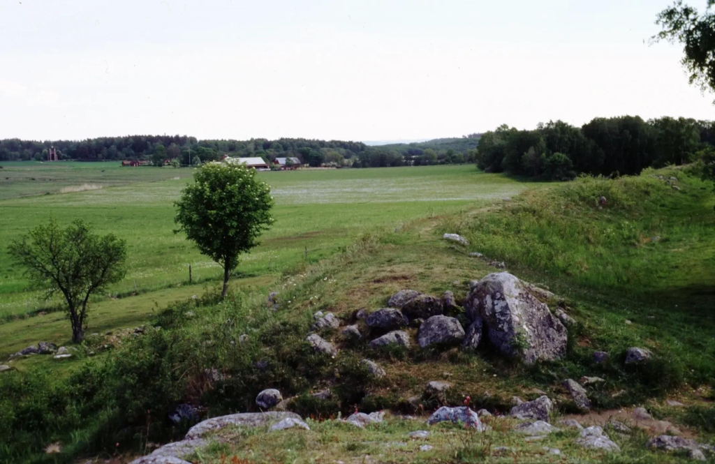 Åkermark med skog i bakgrunden.