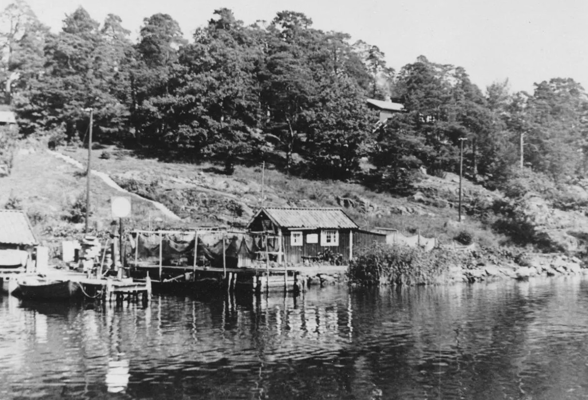 Liten stuga, båt, nät vid vattnet. En trappa leder upp mot skogen och ett hus skymtar där.