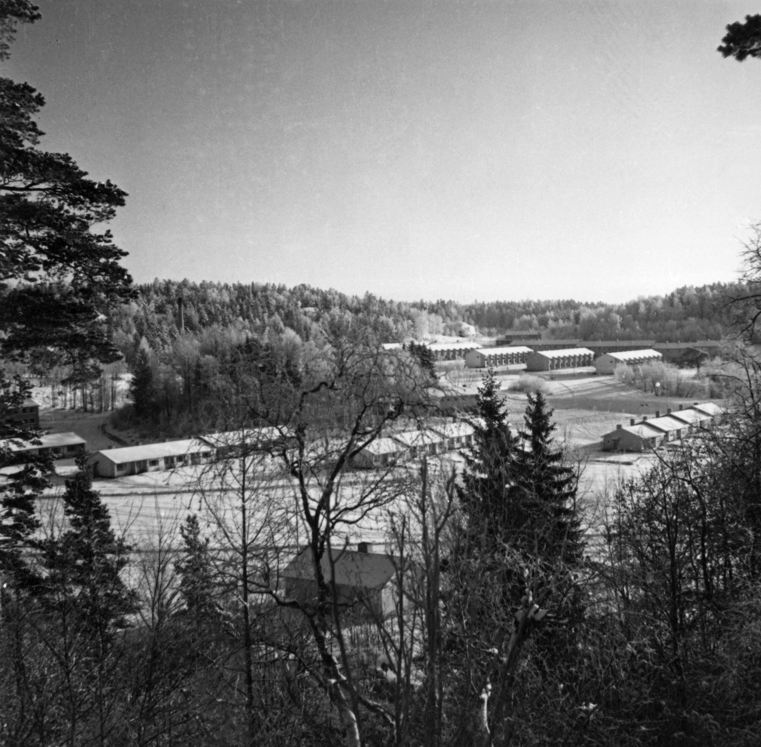 Radhuslängor i en sluttning med skog i för- och bakgrunden.