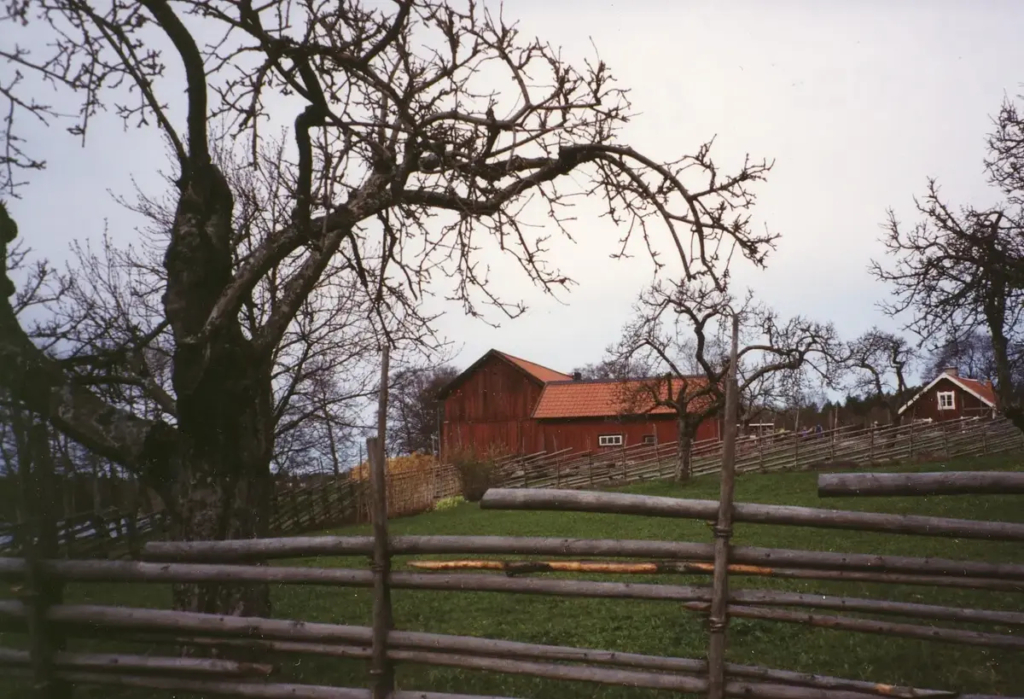 Bakom en gärdesgård syns röda trähus.