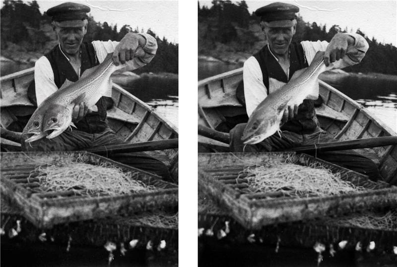 Två nästan identiska bilder, en man sitter i en båt och visar upp en fisk. På bilden till vänster har fisken två huvuden.