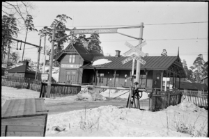 Svartvit bild med snö på marken och solsken.