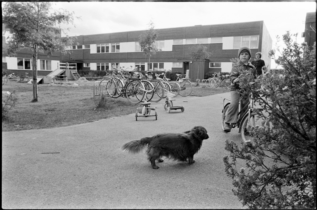 En hund, en pojke på cykel och en kvinna på en gård som omges av tvåvåningshus.