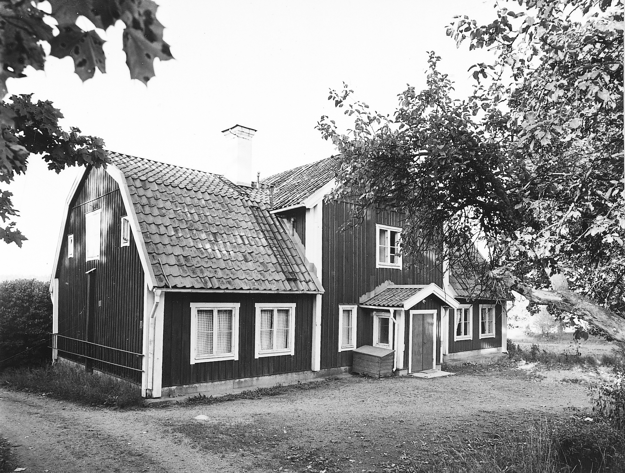 Ett gammalt hus står bakom ett träd.
