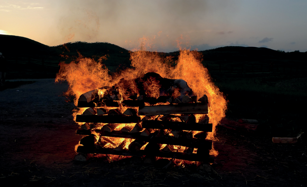 Staplade stockar i brand.
