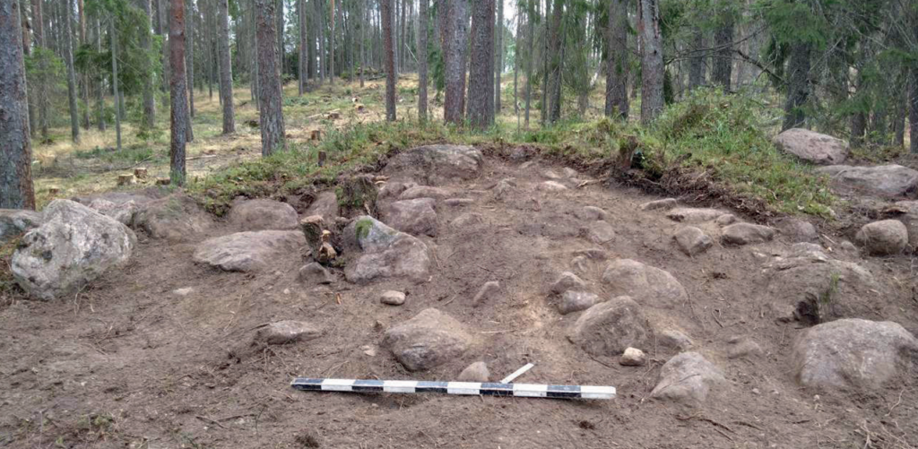 Stenar som grävts fram i skogen, en mätsticka i förgrunden.